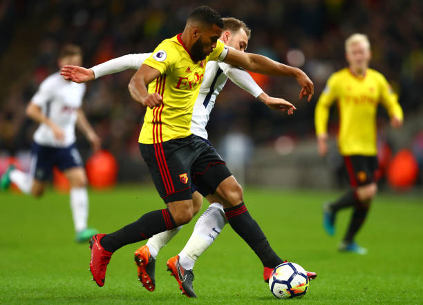 已成功入选 已成功入选